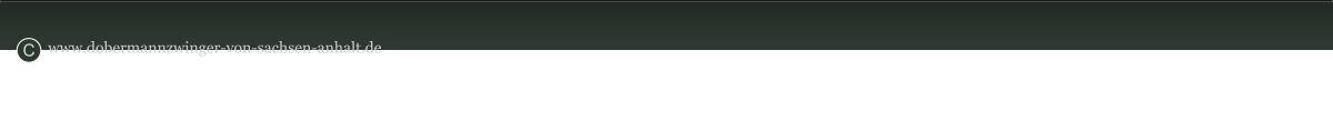 www.dobermannzwinger-von-sachsen-anhalt.de C