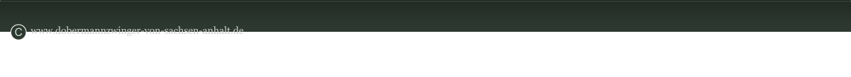 www.dobermannzwinger-von-sachsen-anhalt.de C