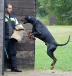 Gesichtskontrolle am Helfer