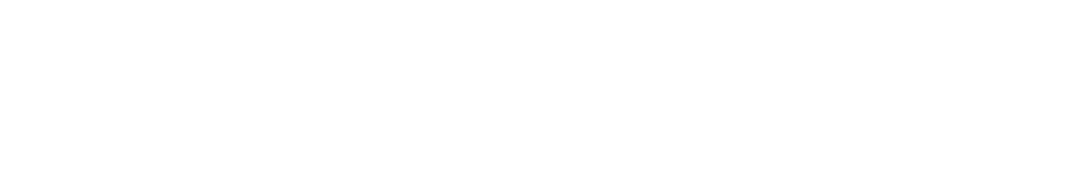 Anfang der 90-er haben wir einen Neubeginn mit Hündinnen aus dem italienischen Zwinger "del Littorio" gemacht.  Unsere "Gaddigaddiel" und "Betuelbaccurin" wurden zur Zuchtreife geführt und auch zur Zucht eingesetzt. Beide waren HD frei und  bestätigten ihr Leistungsvermögen mit dem Erreichen der SchH3. Gaddi war auf Grund Ihres hervorragenden Wesens als großrahmige und  knochenstarke Hündin mit gewaltiger Brustbildung ideal für die Zucht geeignet. 1998 hat sie uns den L-Wurf geschenkt, aus dem unsere  Spitzenhündin Laura von Sachsen-Anhalt stammt. Vater ist der Multichamp. Mauvieres Mufasa de Stang Zu.  Laura ist knapp 12 Jahre alt geworden und hat uns sehr viel Freude gemacht. 2004 haben wir mit Laura die Körung geschafft.  Das gelang in diesem Jahr nur 2 Hündinnen. Im gleichen Jahr erreichte Laura noch die IPO2 und VPG2 mit sehr guten Ergebnissen.  Danach hat sie auch die VPG3 abgelegt